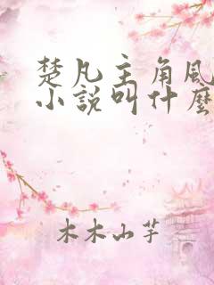 楚凡主角风柔的小说叫什么