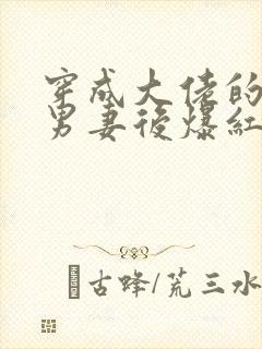 穿成大佬的炮灰男妻后爆红了