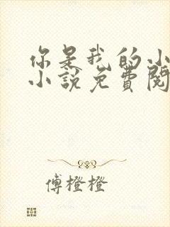 你是我的小美好小说免费阅读txt