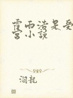 霍雨浩是受开后宫小说