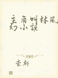 主角叫林风的玄幻小说