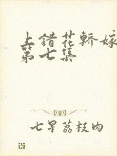 上错花轿嫁王爷第七集