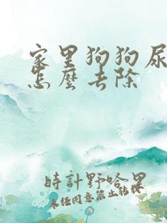 家里狗狗尿骚味怎么去除