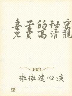 妻子的秘密短剧免费高清观看全集