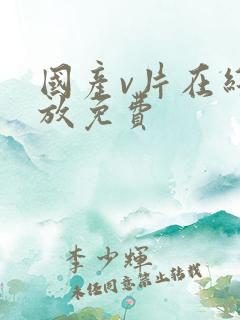 国产v片在线播放免费