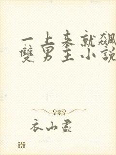 一上来就飙车的双男主小说