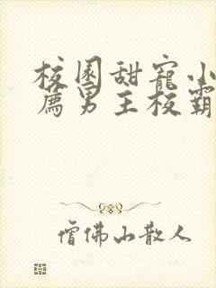 校园甜宠小说推荐男主校霸