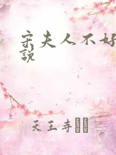 宋夫人不好惹小说