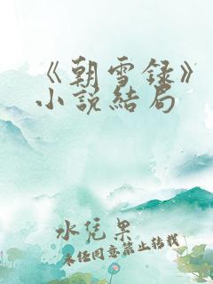 《朝雪录》原著小说结局