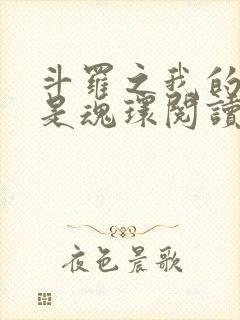 斗罗之我的武魂是魂环阅读