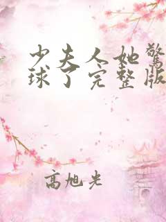 少夫人她惊艳全球了完整版