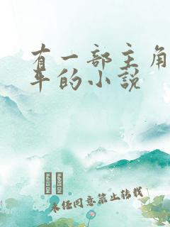 有一部主角叫陈平的小说