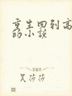 重生回到高考前的小说