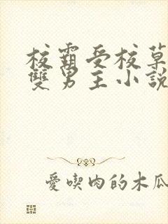 校霸受校草攻的双男主小说