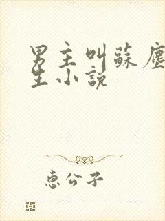 男主叫苏尘的重生小说