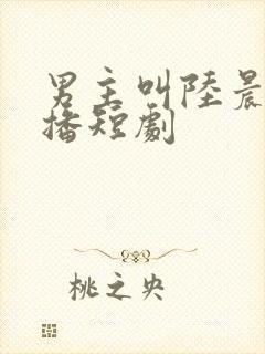 男主叫陆晨的热播短剧