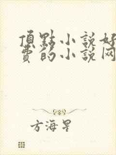 顶点小说好看免费的小说网