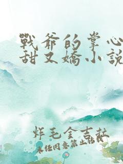 战爷的掌心宠又甜又娇小说