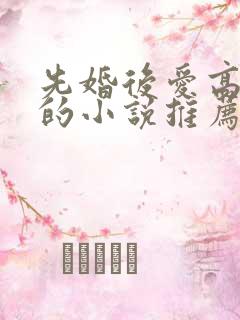 先婚后爱高干文的小说推荐
