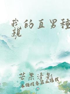 我的直男种马父亲