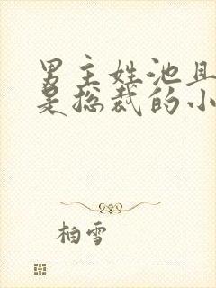 男主姓池且男主是总裁的小说