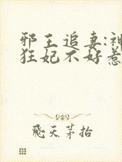 邪王追妻:神医狂妃不好惹