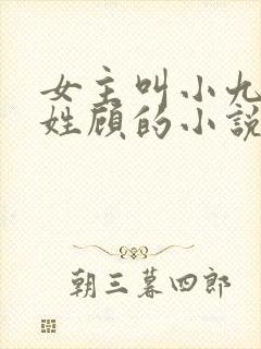 女主叫小九男主姓顾的小说