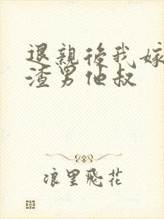 退亲后我嫁给了渣男他叔