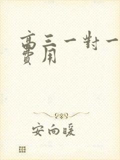 高三一对一辅导费用