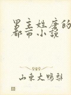 男主姓唐的现代都市小说