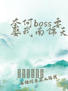 奈何boss要娶我南锦天