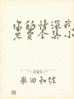 你的情深我不配免费全集小说