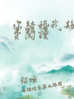 你结婚我劫婚免费阅读