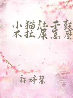 小猫肚子鼓鼓的不拉屎怎么办