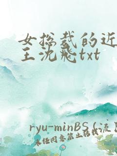 女总裁的近身兵王沈飞txt