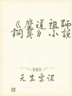 《魔道祖师墨香铜臭》小说阅读