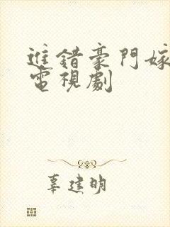 进错豪门嫁对郎电视剧