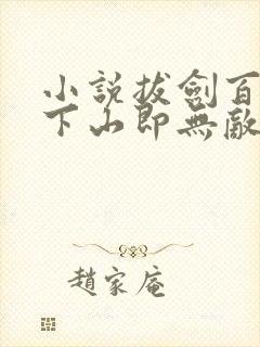 小说拔剑百年,下山即无敌全文阅读