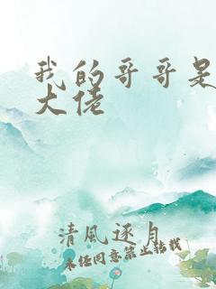 我的哥哥是女装大佬