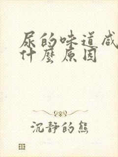 尿的味道咸苦是什么原因