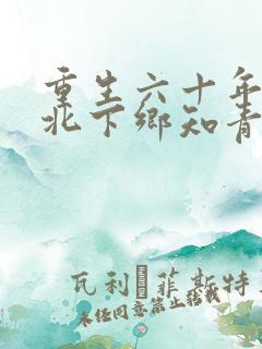 重生六十年代东北下乡知青