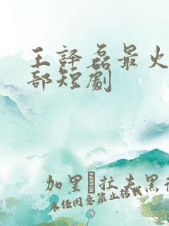 王译磊最火的十部短剧