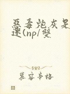 恶毒炮灰是万人迷(np/双