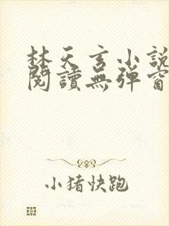 林天玄小说免费阅读无弹窗