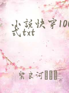 小说快穿100式txt