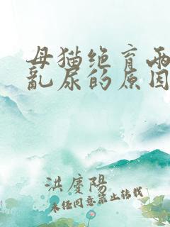 母猫绝育两年后乱尿的原因