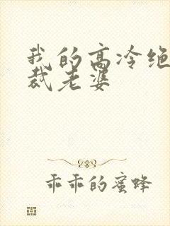 我的高冷绝色总裁老婆