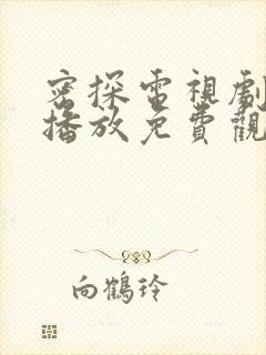 密探电视剧全集播放免费观看