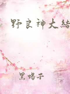 野良神大结局