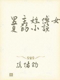 男主姓傅女主姓夏的小说